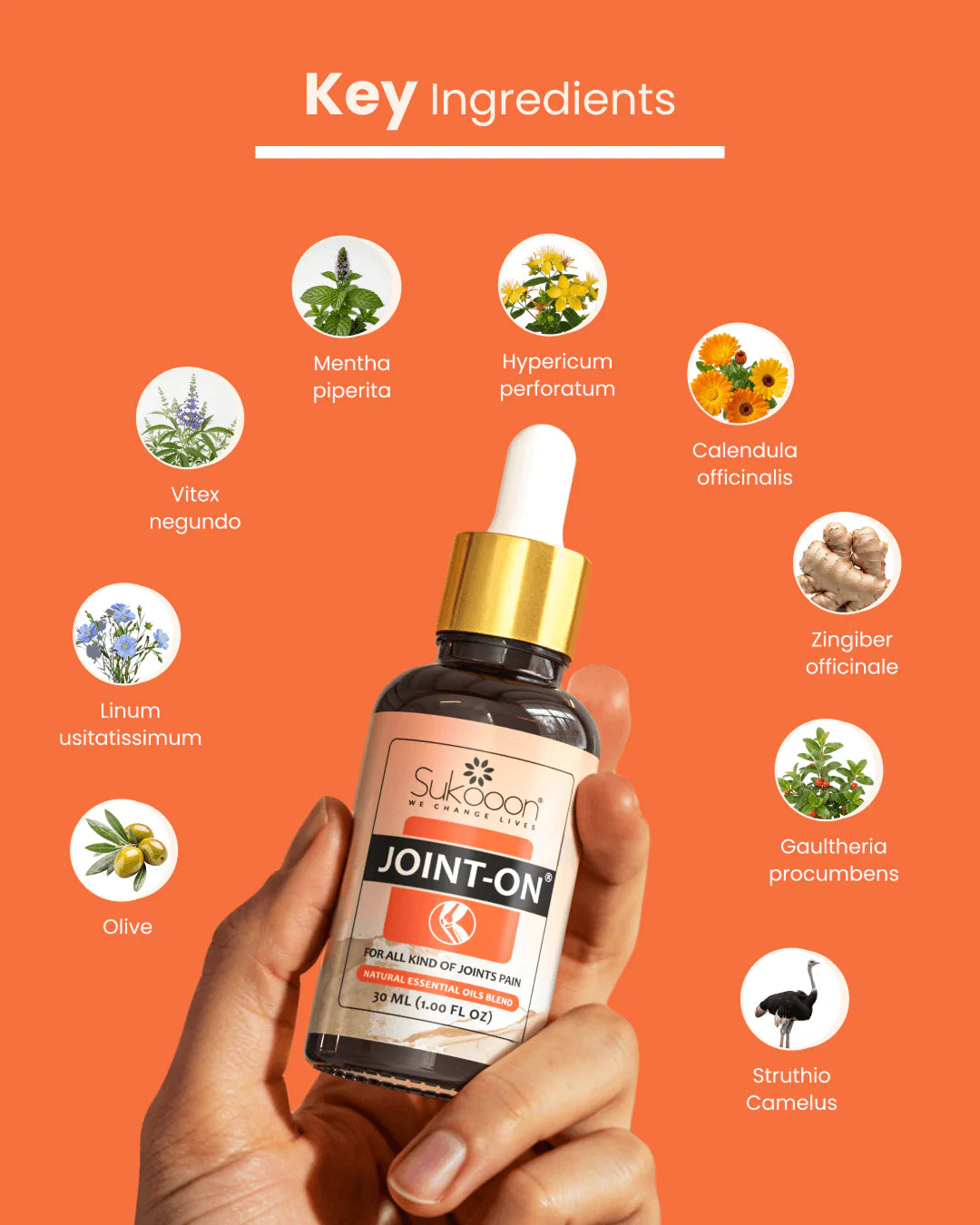 Joint-On Oil | Pakistan’s First Natural Topical Herbal Oil for Joints & Muscles